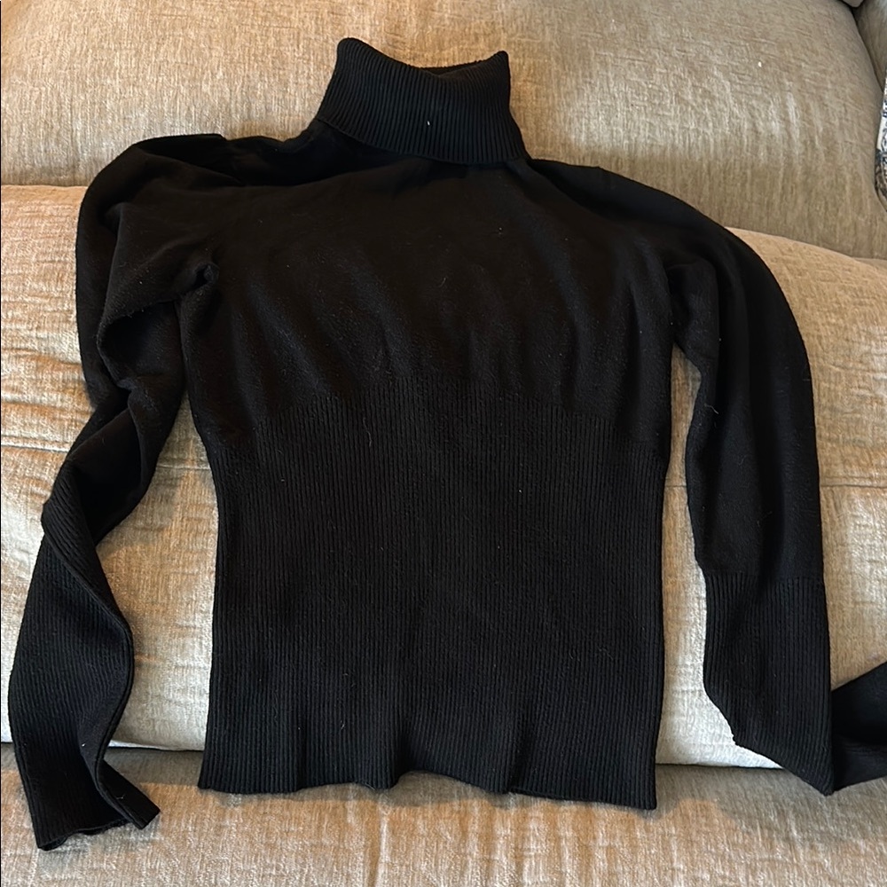 White House, black market Black Turtleneck Sweater
